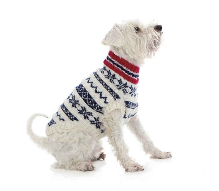Hundegenser oppskrift for store hunder: Guide og inspirasjon Hundegenser oppskrift for store hunder: Guide og inspirasjon