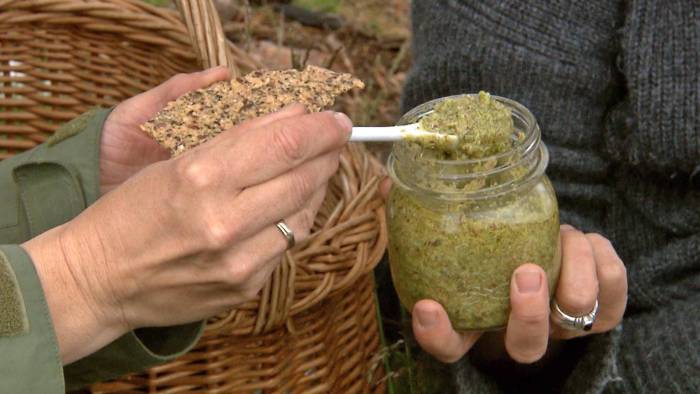 Lag din egen granskuddpesto - en unik smaksopplevelse Lag din egen granskuddpesto - en unik smaksopplevelse