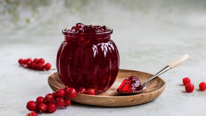 Ripsgele oppskrift gelatin: Lag en forfriskende dessert med få ingredienser Ripsgele oppskrift gelatin: Lag en forfriskende dessert med få ingredienser