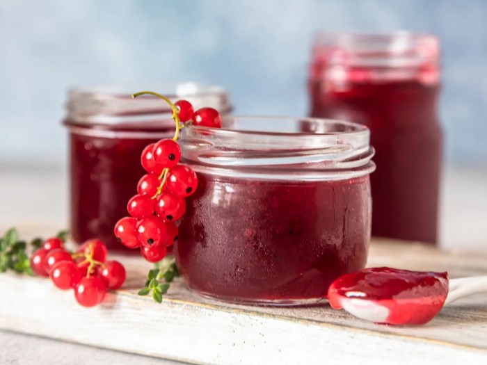 Ripsgele oppskrift gelatin: Lag en forfriskende dessert med få ingredienser Ripsgele oppskrift gelatin: Lag en forfriskende dessert med få ingredienser