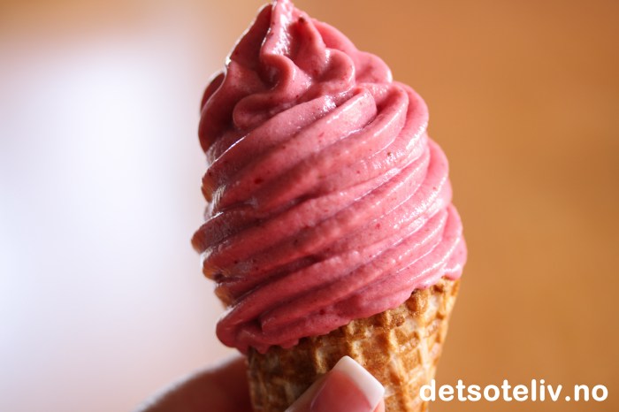 Yoghurtis vanilje: en oppskrift på hjemmelagd vaniljeyoghurt Yoghurtis vanilje: en oppskrift på hjemmelagd vaniljeyoghurt