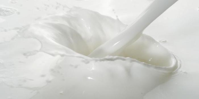 Oppskrift kefir: Lag din egen sunne og probiotiske drikk hjemme Oppskrift kefir: Lag din egen sunne og probiotiske drikk hjemme