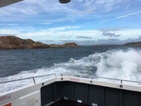 LerøY JøSenøYa Omvisning, Se Hvordan SjøMat Blir Til Med En Omvisning På LerøY JøSenøYa – Fra Hav Til Bord!