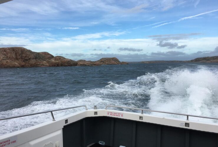 LerøY JøSenøYa Omvisning, Se Hvordan SjøMat Blir Til Med En Omvisning På LerøY JøSenøYa – Fra Hav Til Bord!