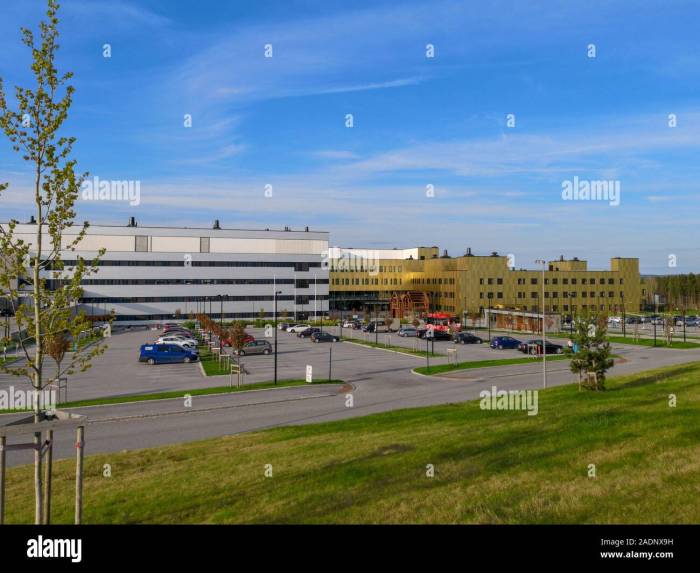 Sykehus Kalnes Omvisning, Få En Omvisning På Kalnes Sykehus Og Se Hvordan Moderne Helsevesen Fungerer! Sykehus Kalnes Omvisning, Få En Omvisning På Kalnes Sykehus Og Se Hvordan Moderne Helsevesen Fungerer!