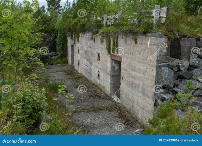 Omvisning I Festninger, Utforsk Norges Festninger Med En Omvisning – En Reise Gjennom Forsvarshistorien! Omvisning I Festninger, Utforsk Norges Festninger Med En Omvisning – En Reise Gjennom Forsvarshistorien!