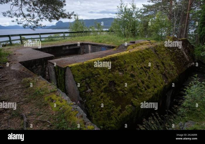 Omvisning I Festninger, Utforsk Norges Festninger Med En Omvisning – En Reise Gjennom Forsvarshistorien! Omvisning I Festninger, Utforsk Norges Festninger Med En Omvisning – En Reise Gjennom Forsvarshistorien!