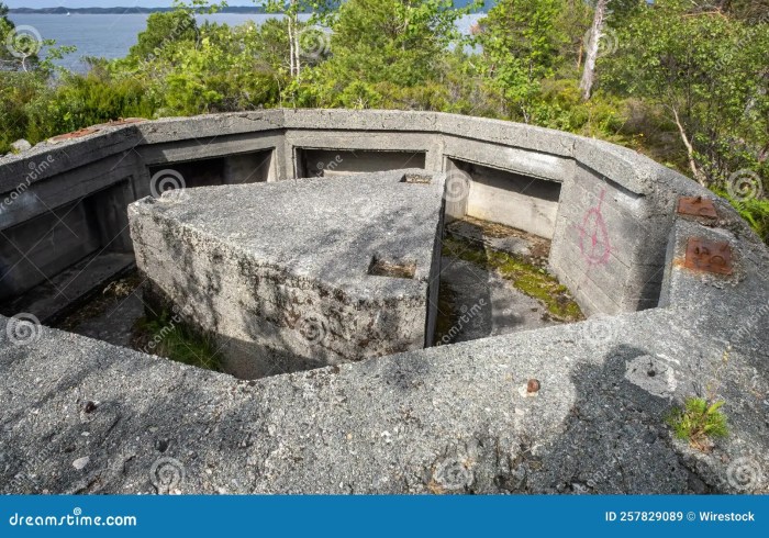 Omvisning I Festninger, Utforsk Norges Festninger Med En Omvisning – En Reise Gjennom Forsvarshistorien! Omvisning I Festninger, Utforsk Norges Festninger Med En Omvisning – En Reise Gjennom Forsvarshistorien!