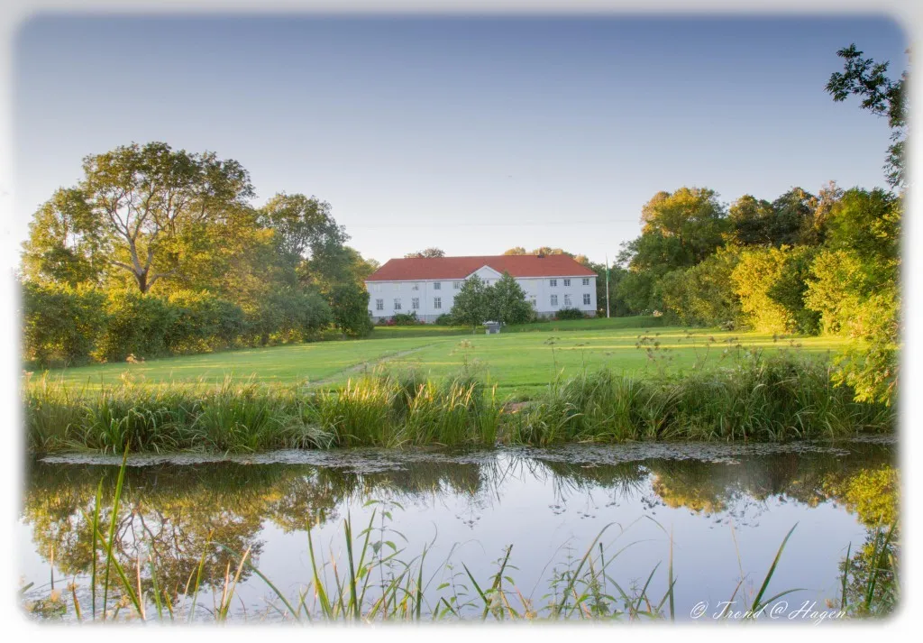 Fredrikstad brygge fiskesuppe Elingård omvisning