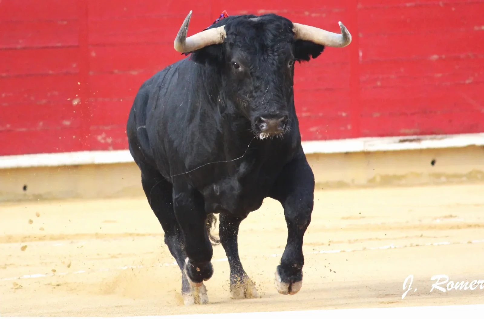 toro glutenfri pizzabunn oppskrift