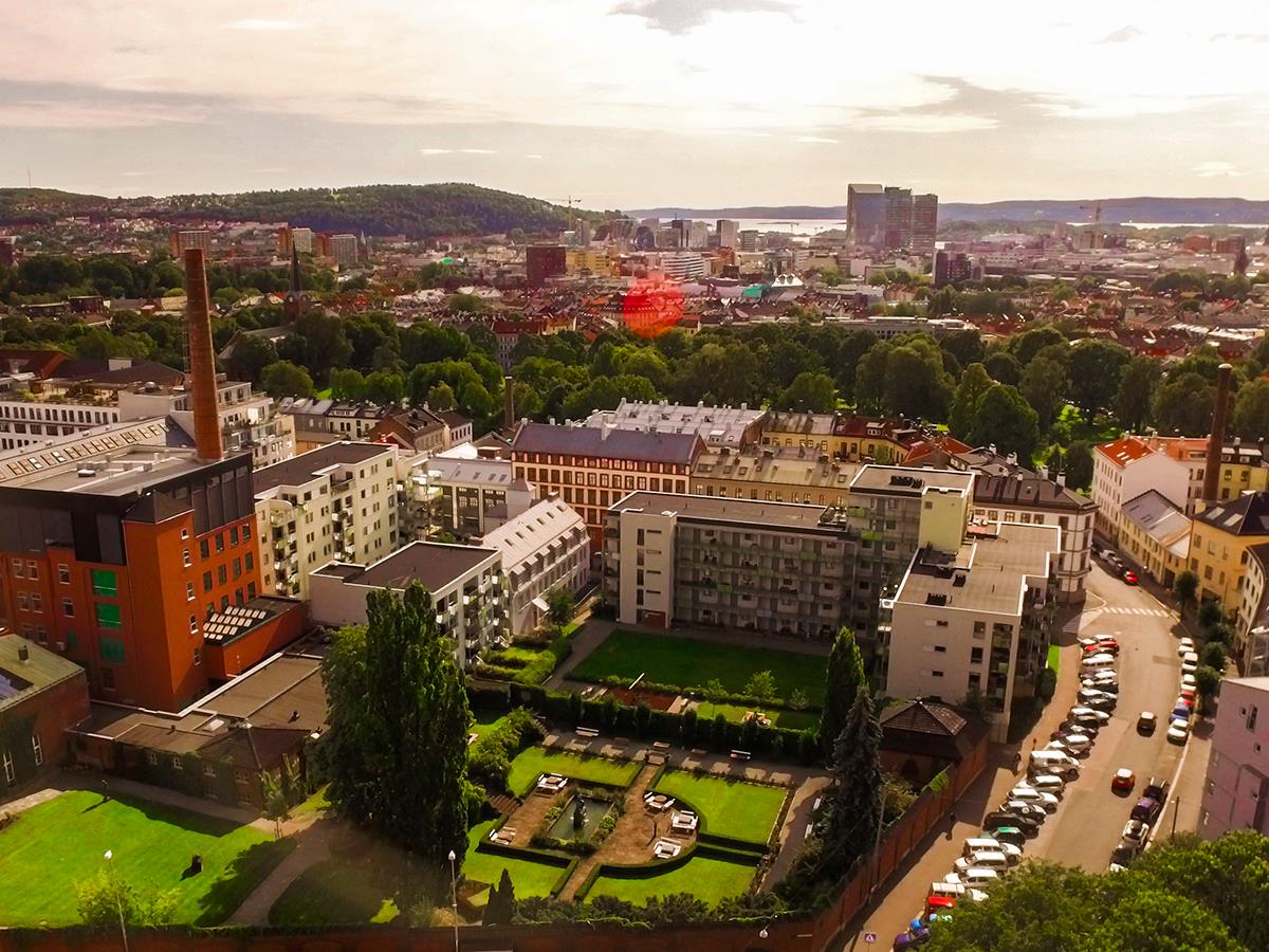 Opplev Magien Bak Freia Omvisning