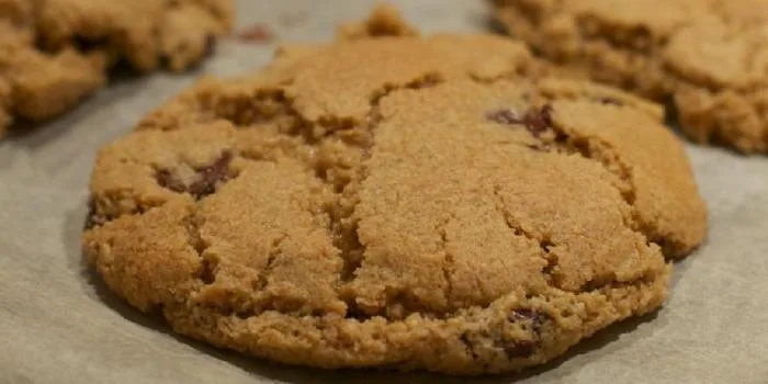 chochipcookies_4_BIG