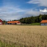 Omvisning BastøY 2019, Bli Med Tilbake Til 2019 Med En Omvisning På BastøY – En FengselsøY Som Vekker Nysgjerrighet!