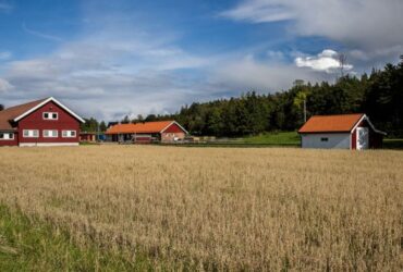 Omvisning BastøY 2019, Bli Med Tilbake Til 2019 Med En Omvisning På BastøY – En FengselsøY Som Vekker Nysgjerrighet!
