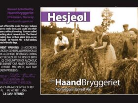 Omvisning Haandbryggeriet, LæR Om HåNdverksøL Med En Omvisning Hos Haandbryggeriet – Smak Og Nyt!