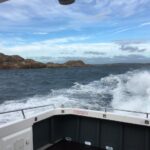 LerøY JøSenøYa Omvisning, Se Hvordan SjøMat Blir Til Med En Omvisning På LerøY JøSenøYa – Fra Hav Til Bord!