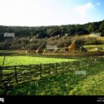 Omvisning JernaldergåRden, Opplev Livet I Jernalderen Med En Omvisning På JernaldergåRden – En Reise Tusen åR Tilbake I Tid!