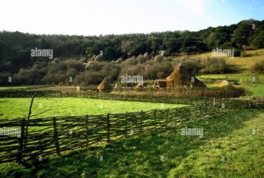 Omvisning JernaldergåRden, Opplev Livet I Jernalderen Med En Omvisning På JernaldergåRden – En Reise Tusen åR Tilbake I Tid!