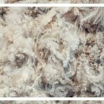 Omvisning HillesvåG Ullvarefabrikk, Oppdag Ullens Verden Med En Omvisning På HillesvåG Ullvarefabrikk – Fra Sau Til Garn!