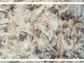 Omvisning HillesvåG Ullvarefabrikk, Oppdag Ullens Verden Med En Omvisning På HillesvåG Ullvarefabrikk – Fra Sau Til Garn!