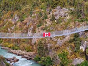 Vi Opplevde En Fantastisk Omvisning, Vi Opplevde En Fantastisk Omvisning – Bli Med På En Reise Gjennom Norges Mest Fascinerende Steder!