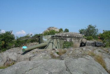 ToråS Fort Omvisnning, Opplev Norges Kystforsvar Med En Omvisning På ToråS Fort – En Viktig Del Av Krigshistorien!