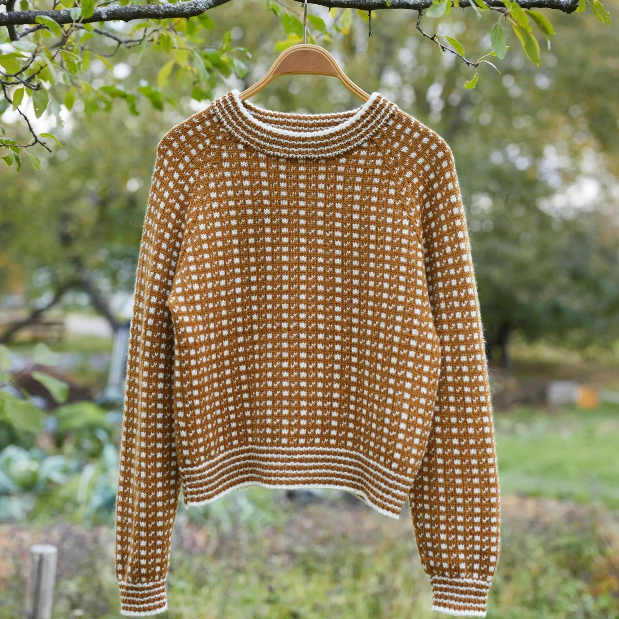 Islender dame oppskrift