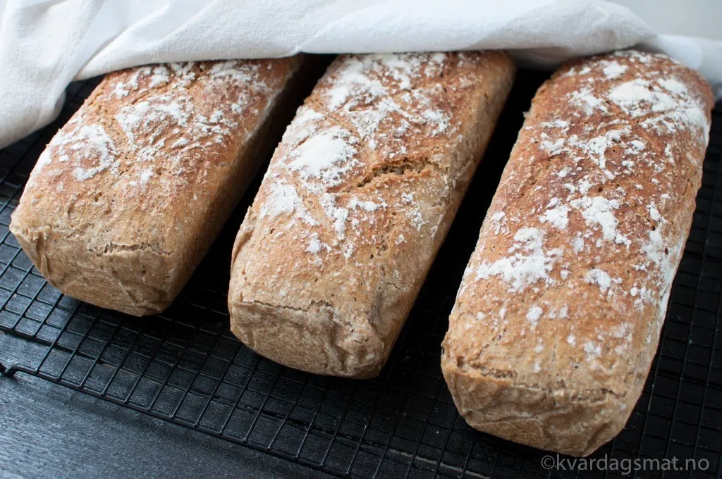 Brød oppskrift tørrgjær