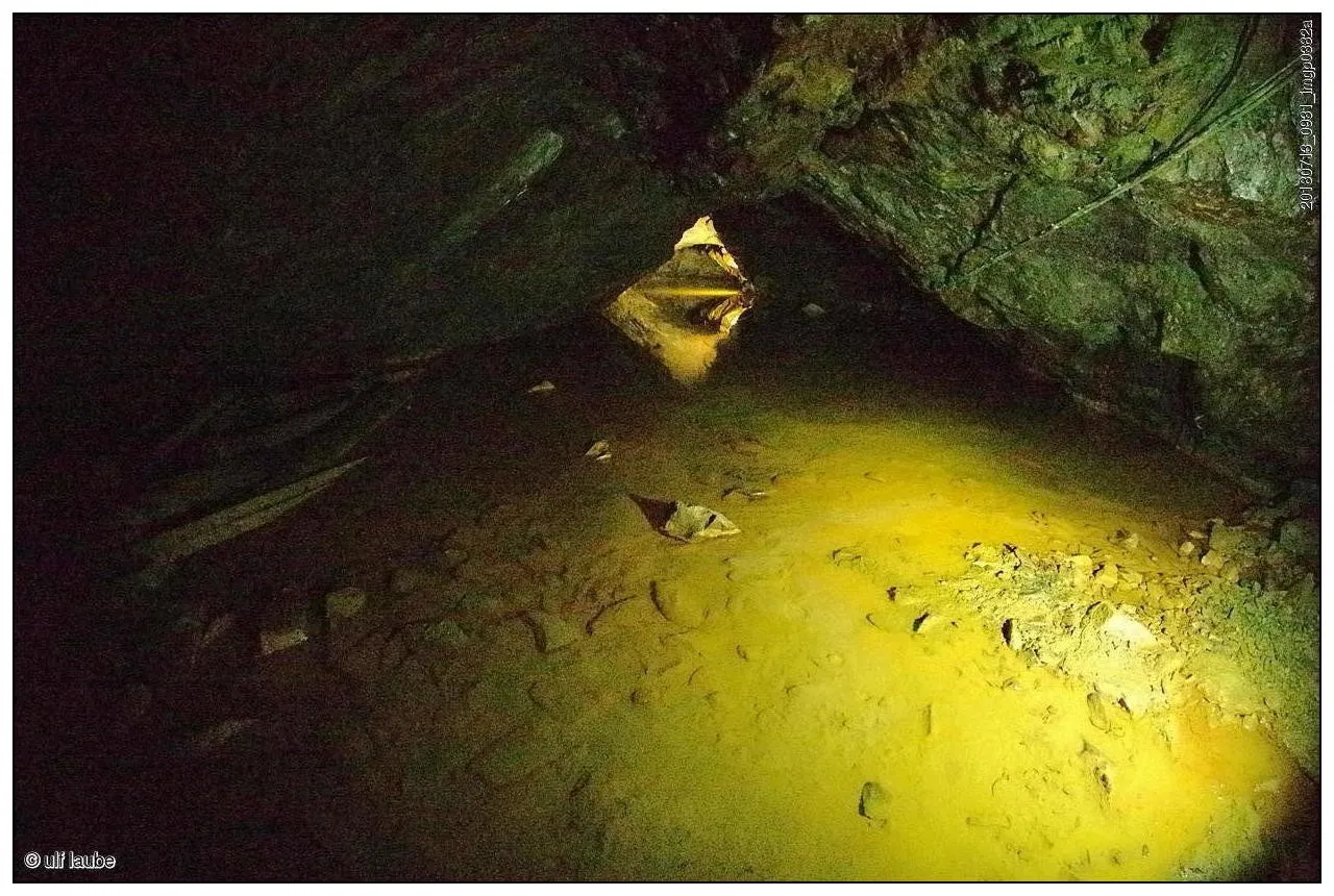 Omvisning olavsgruva