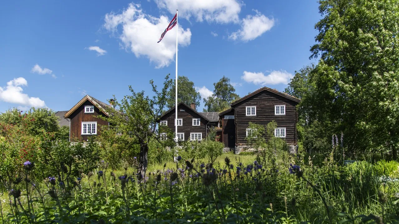 Omvisning bjerkebæk