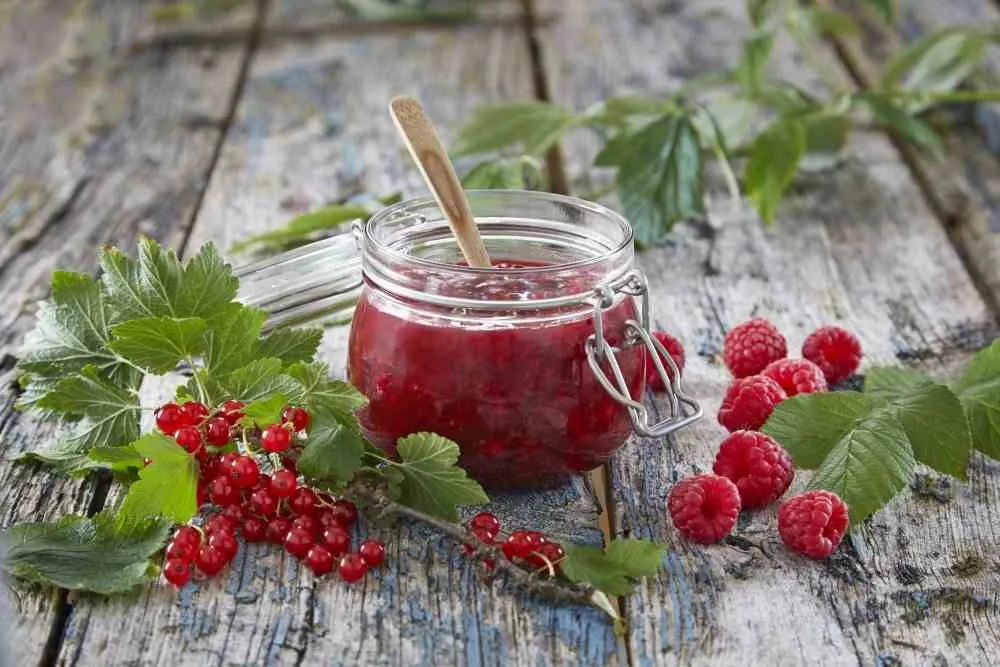 Ripssyltetøy oppskrift