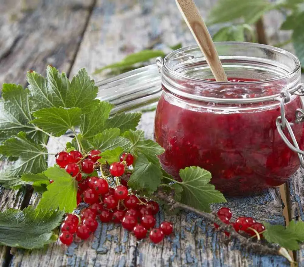 Ripssyltetøy oppskrift