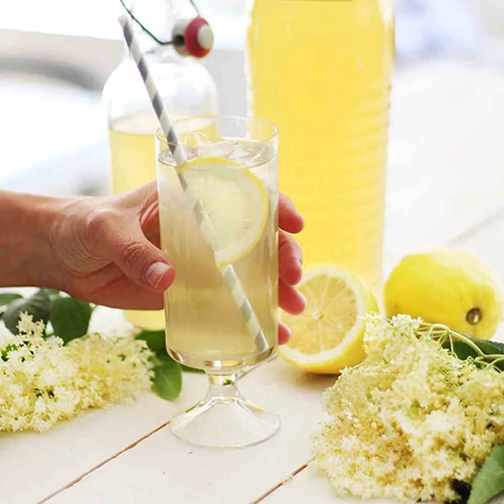 Hylleblomstsaft oppskrift