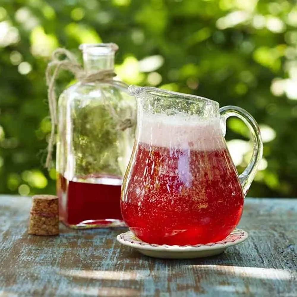 Plommesaft oppskrift