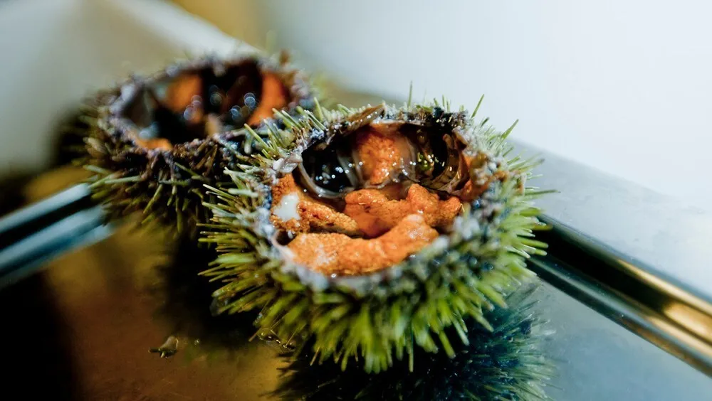 Kråkebolle oppskrift