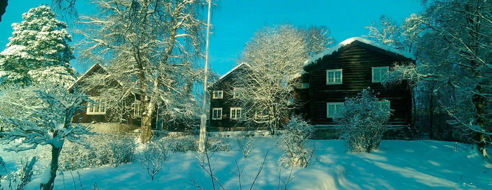 Omvisning bjerkebæk