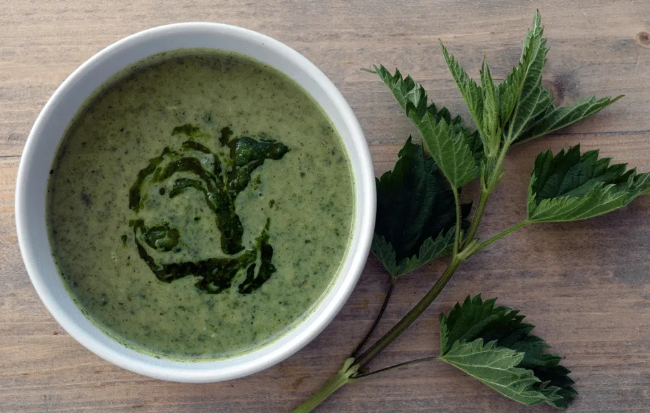 Kolle iril brennesle oppskrift