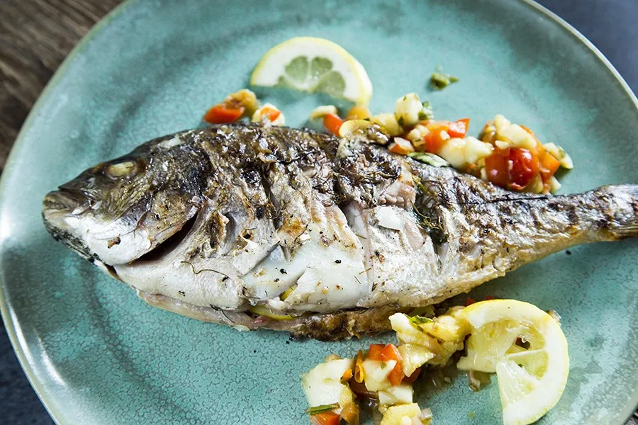 Dorade mediterran derbiokoch