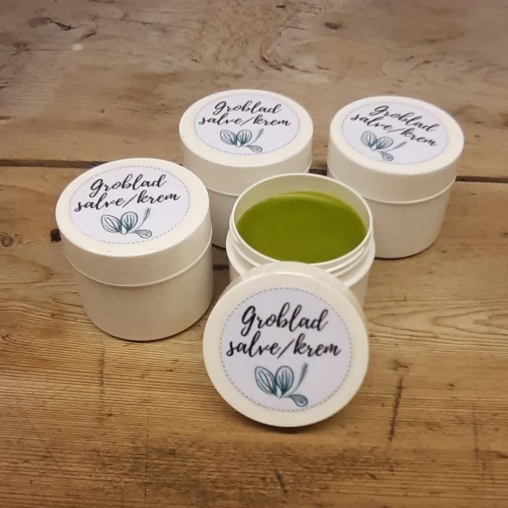 Groblad salve oppskrift