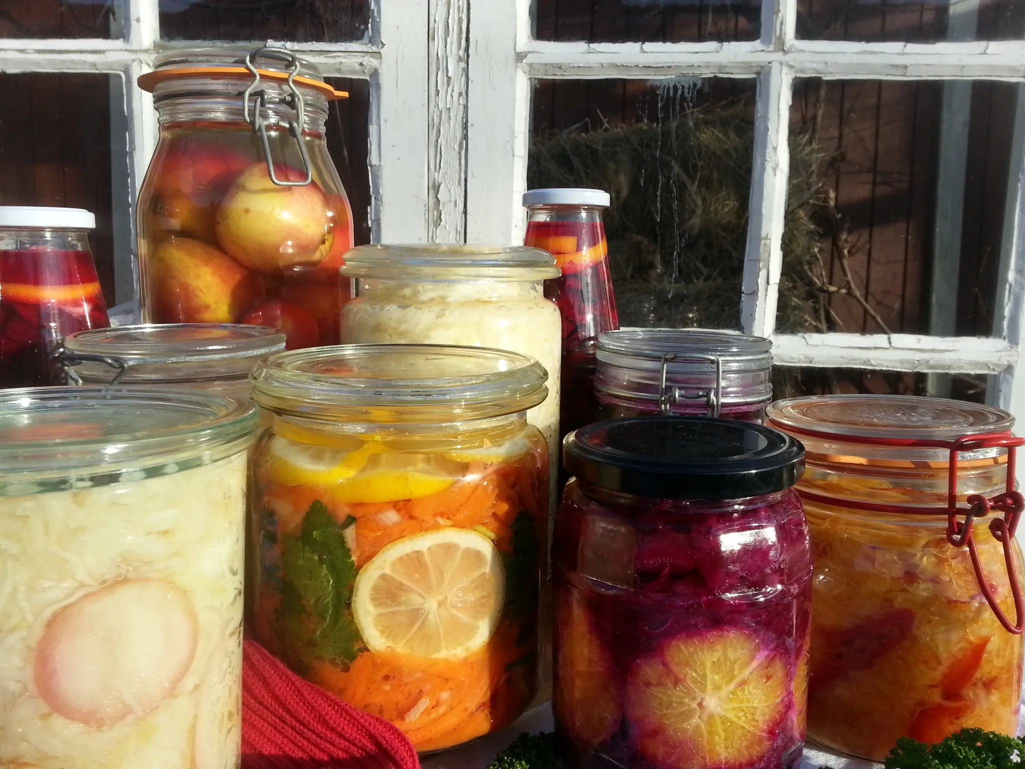 Fermentering oppskrift