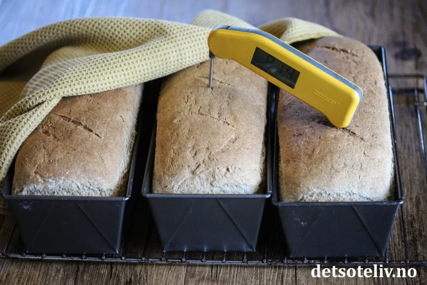 Sunnmørsbrød oppskrift