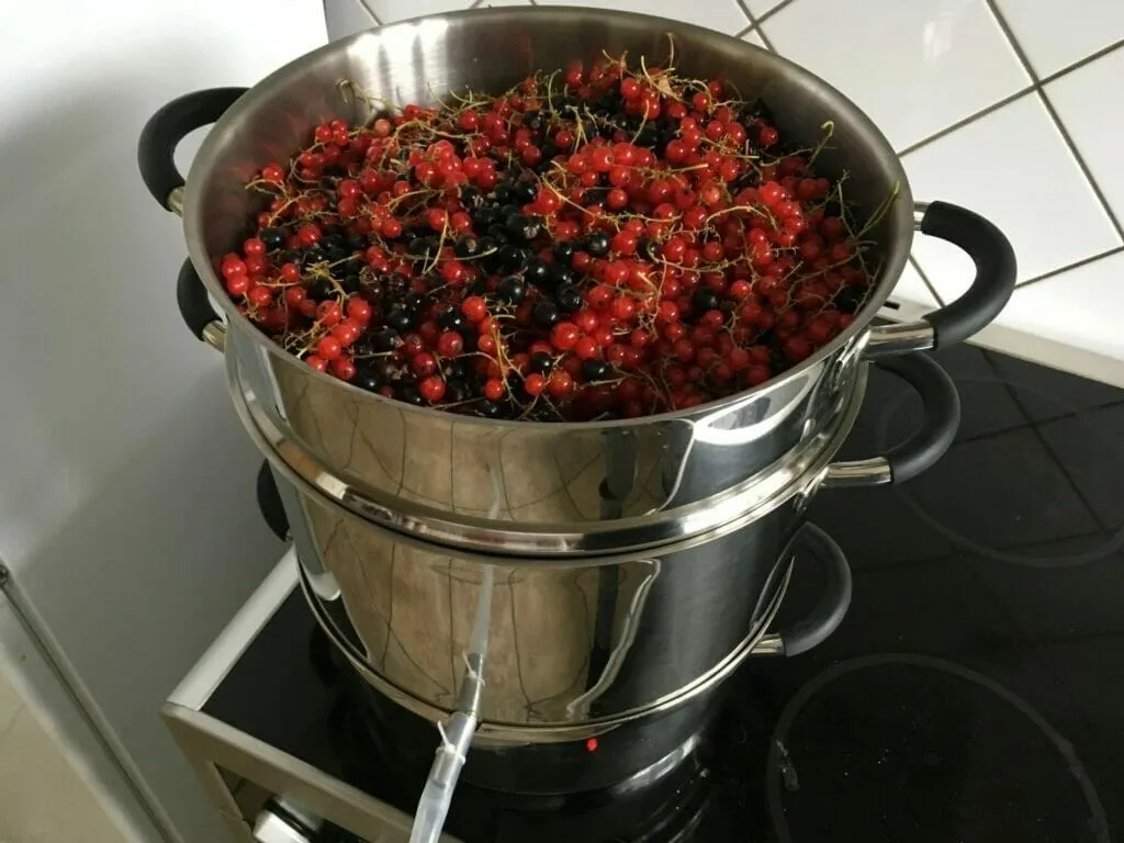 Solbærsaft oppskrift