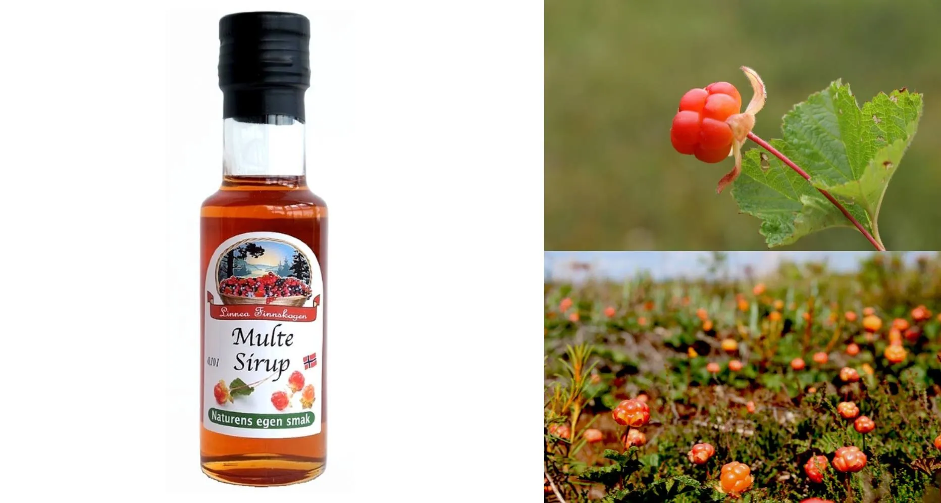 Multesirup oppskrift