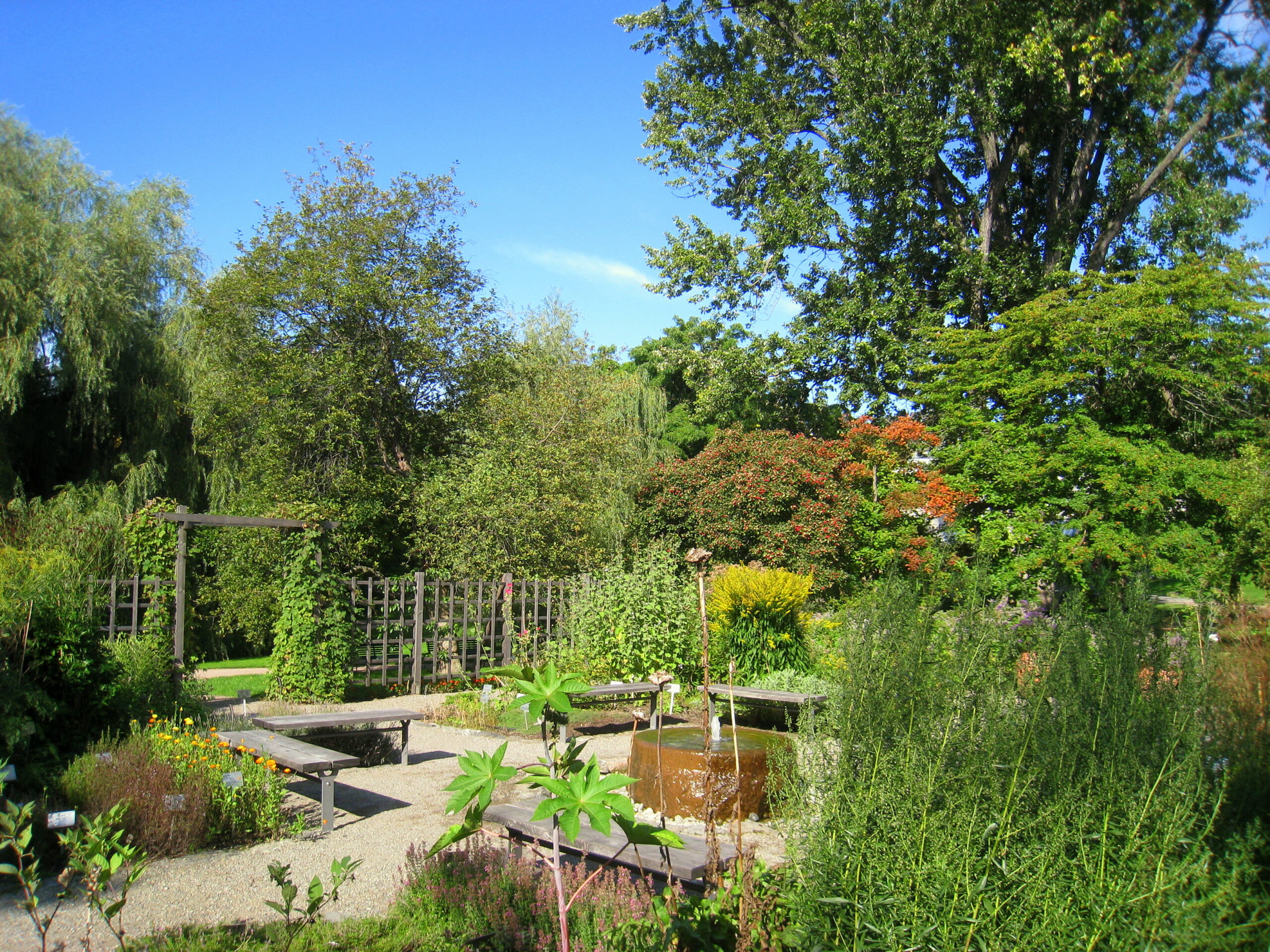 Botanisk hage oslo omvisning