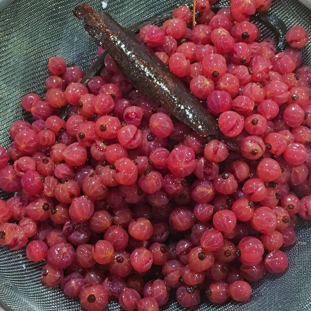 Ripslikør oppskrift