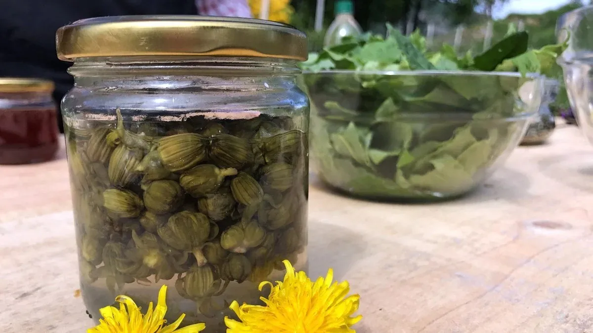 Løvetann te oppskrift