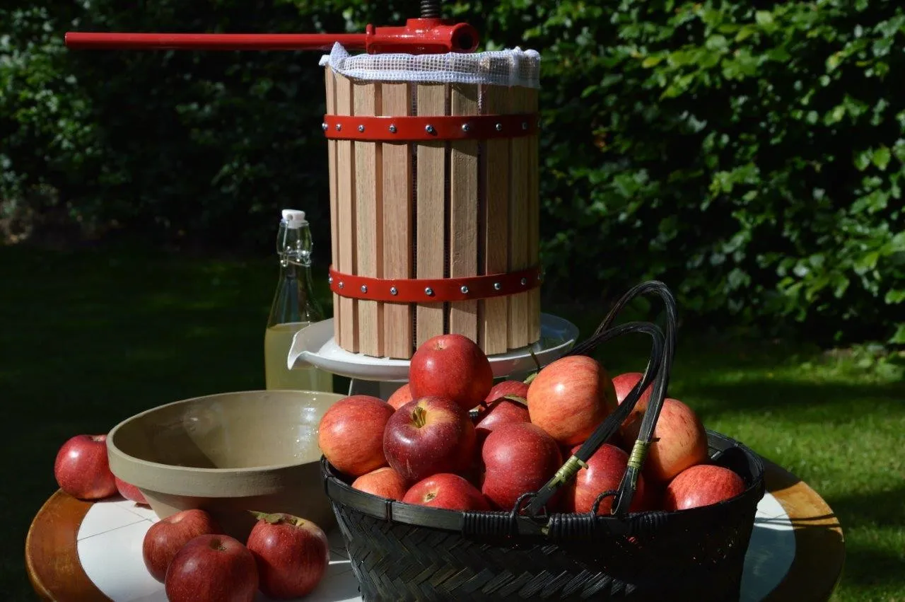 Saftpresse granada zelsius zitruspresse professionelle hebel gastronomie qualität