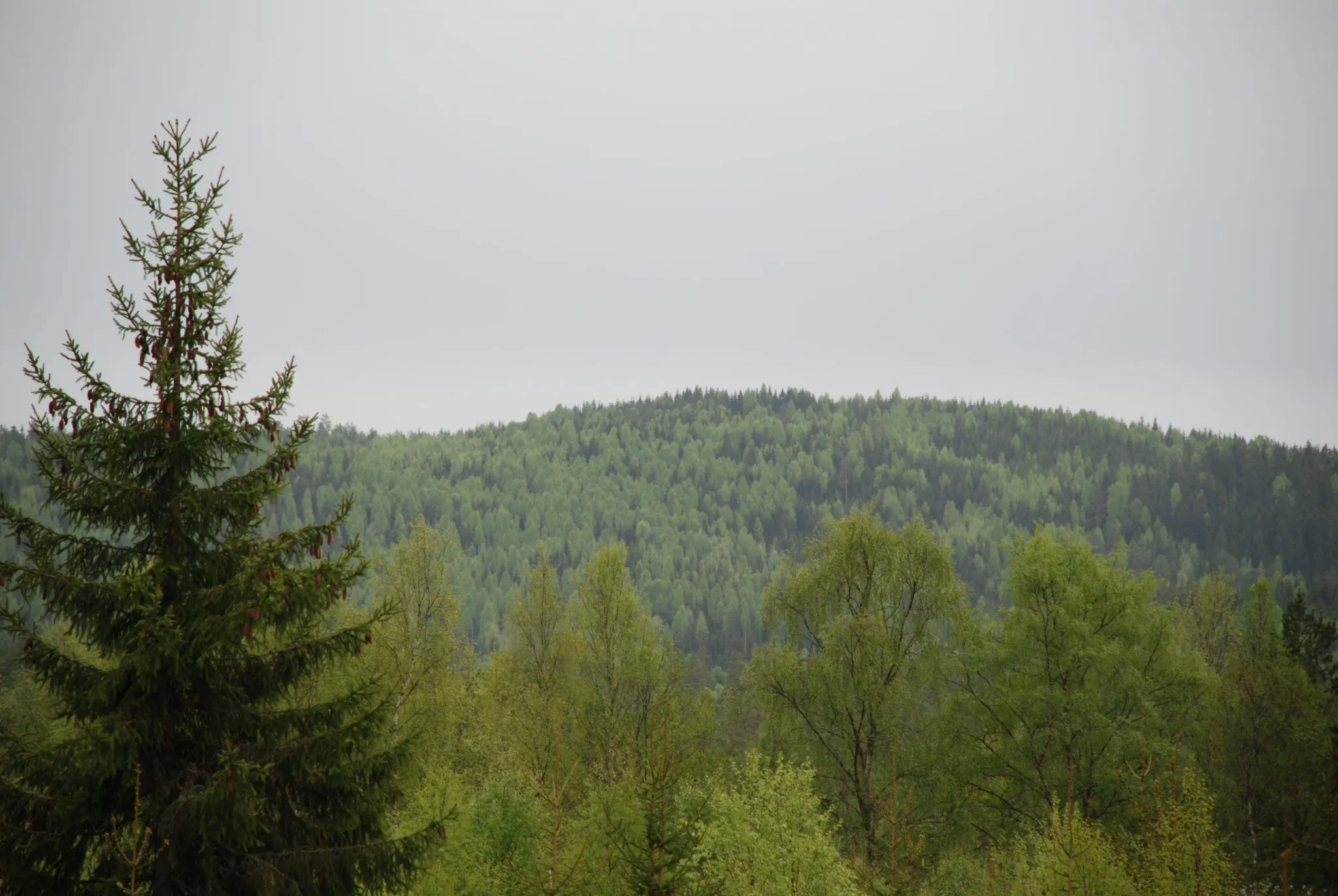 Fritzøeparken omvisning