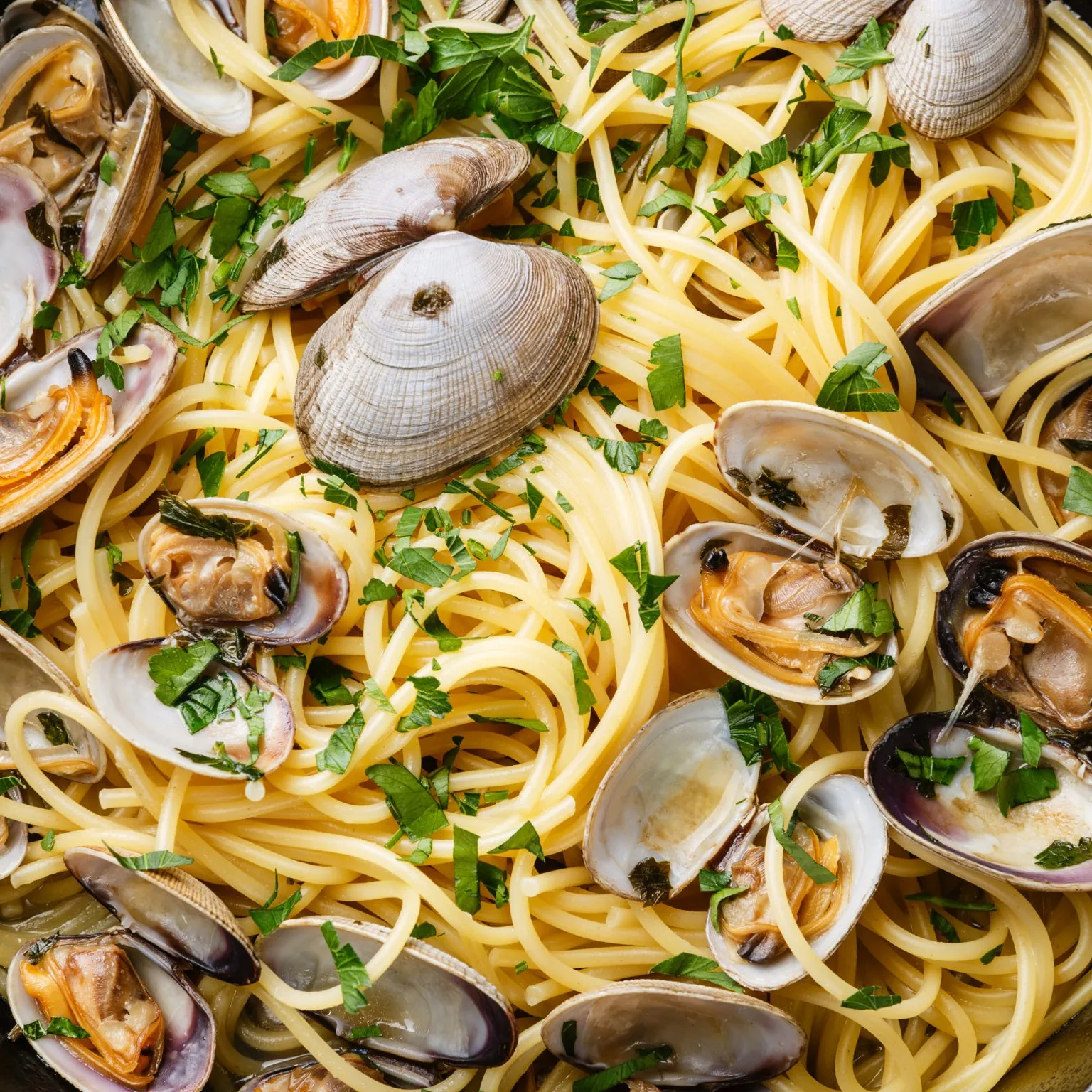 Vongole