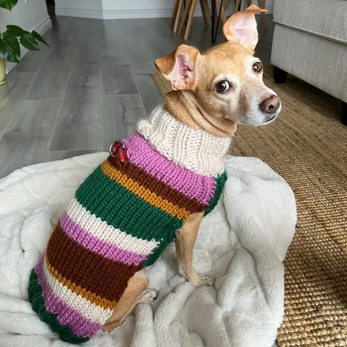 Oppskrift hundegenser